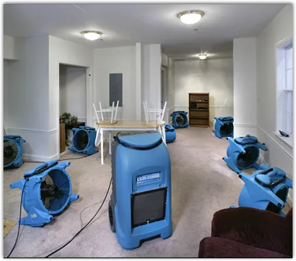 Drying & Dehumidification in Scottdale, GA