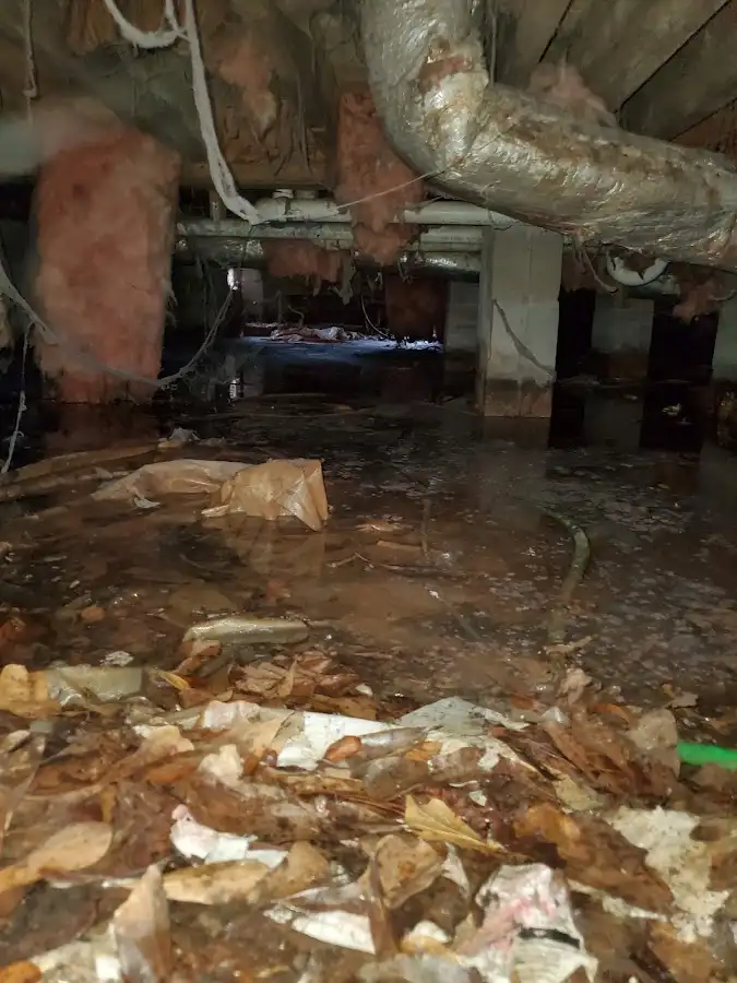 Crawl space flood assessment for Leak Detection & Repair in Scottdale